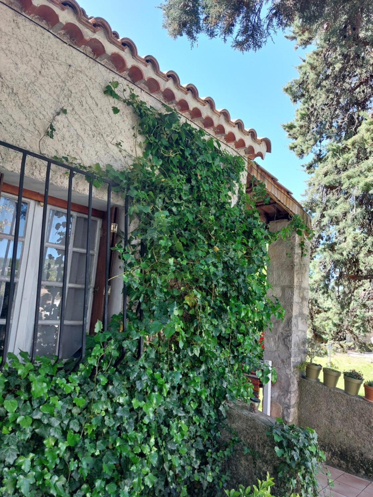 La Maison De Marie-Jeanne - Le Rocher D'Ongles Exteriör bild