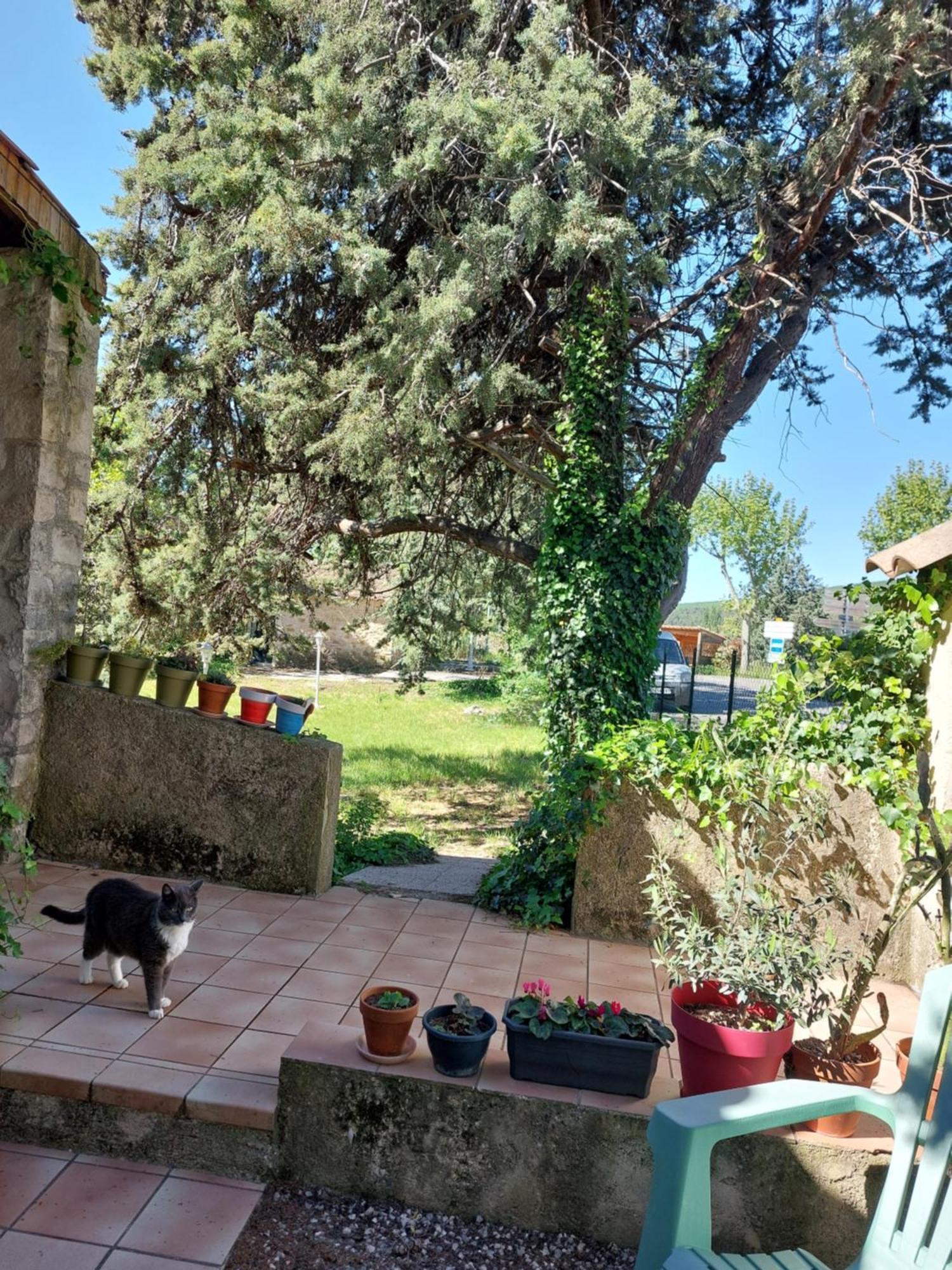 La Maison De Marie-Jeanne - Le Rocher D'Ongles Exteriör bild