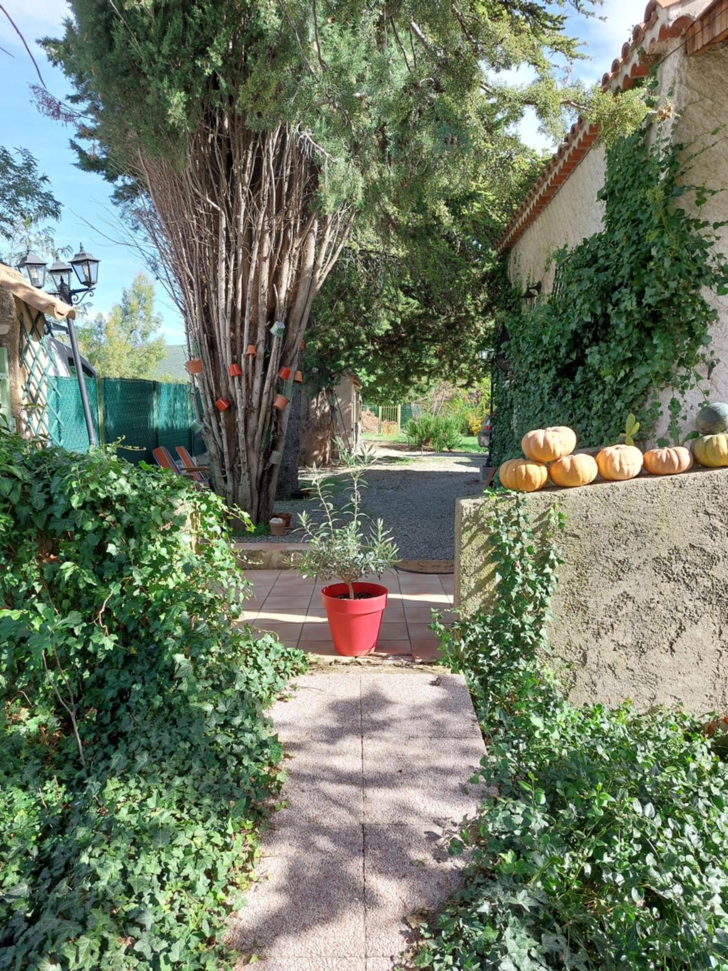 La Maison De Marie-Jeanne - Le Rocher D'Ongles Exteriör bild